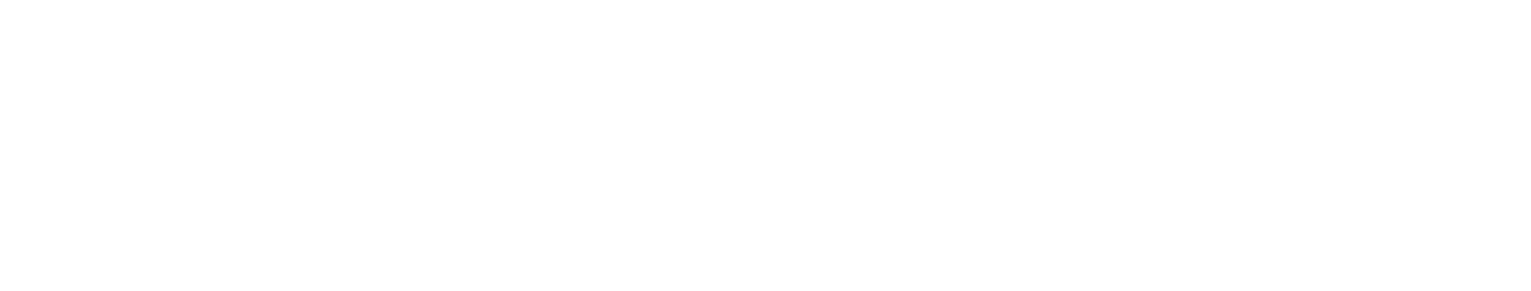 The Experience Company full wordmark in white